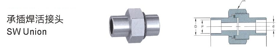 承插焊活接頭細(xì)節(jié)1圖.jpg